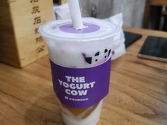 -一只酸奶牛(春熙路店)