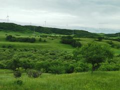 -塞罕坝国家级自然保护区