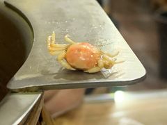 螃蟹-海帮主·蒸汽海鲜青岛菜(栈桥火车站店)