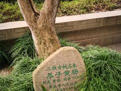 -常熟方塔园