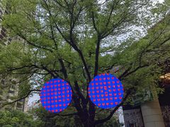 -瑞虹新天地月亮湾