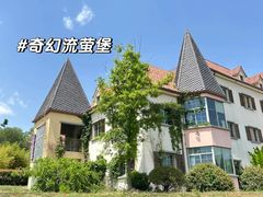 -大塘金香草谷