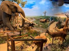 -陕西自然博物馆