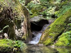 -水磨沟环境自然保护区