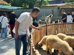 -保定市动物园