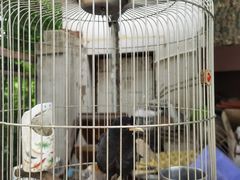 -姥家大锅台水库渔家