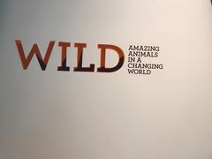 -墨尔本博物馆(Melbourne Museum)