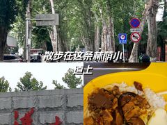 -武汉大学-桂园餐厅