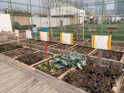 -梦田都市农场(银泰城店)