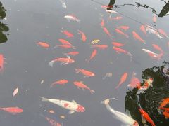 -长阳创谷