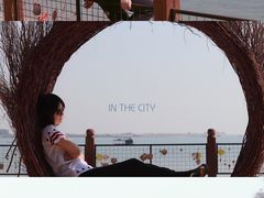 -北海金海湾红树林生态旅游区