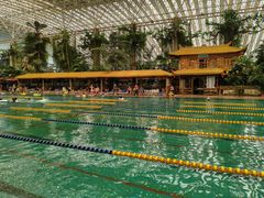 -龙脉温泉室内游泳馆