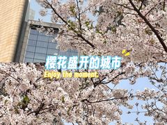 -上海世纪汇广场