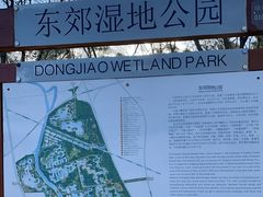 -东郊湿地公园