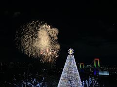 -台场海滨公园船码头