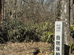 -安吉龙王山风景区