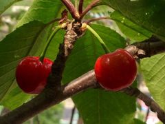 iphone_upload_pic-灵溪风景区