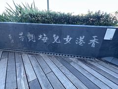 -星光大道