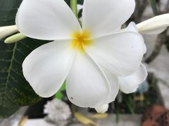 -班赞海鲜市场