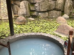 -明月山天沐温泉度假村