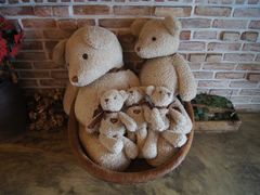 -济州岛泰迪熊博物馆