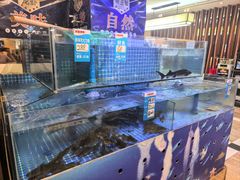 -同喜烤鸭店(光芒店)