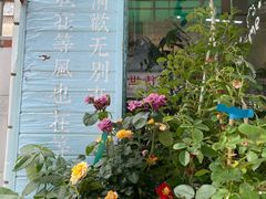 -溪岸路花鸟市场