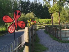 -前小桔亲子创意农场·草莓采摘·露营烧烤