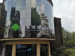 -东寨港红树林旅游区