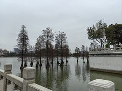-顺峰山公园