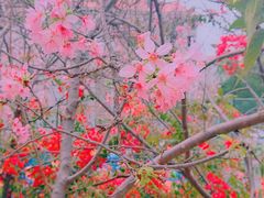 -小南山公园
