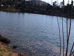 -枫香湖儿童公园