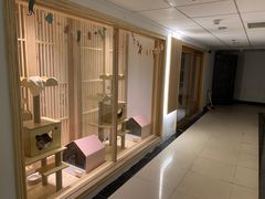 -猫腻·猫咖·撸猫馆(星光大道店)