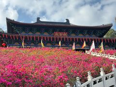-海南文笔峰盘古文化旅游区