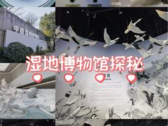 -中国湿地博物馆