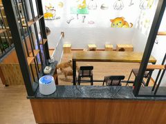 -喵屋coffee