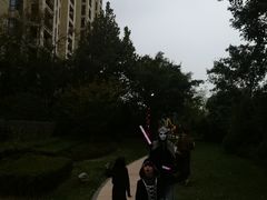 -仁恒西郊花园