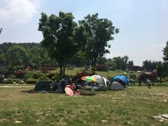 -铁山坪森林公园