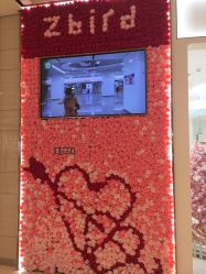 -钻石小鸟钻戒婚戒定制(石路店)