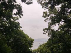 -西泠印社