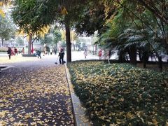 -绵阳人民公园(涪城区)