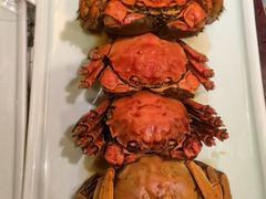 -南京大牌档(中关村领展广场店)