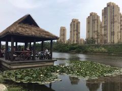 -前关湿地公园