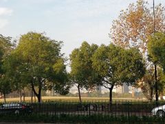 -杭州城北体育公园