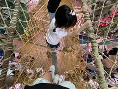 -正佳雨林生态植物园