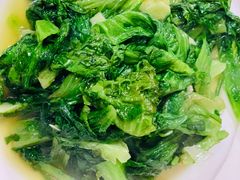 -煲来饱去冷水鱼