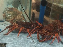 -阿伟海鲜楼·福建菜(延寿店)
