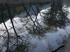 -鹿亭中村