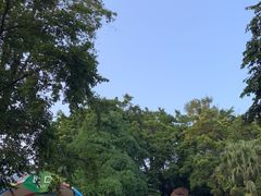-东部华侨城