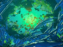 -海合安成都极地海洋公园